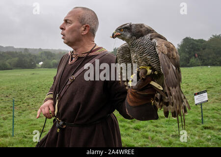 Falconeria medievale viene visualizzato durante la Battaglia di Hastings 1066 storica rievocazione presso il sito della battaglia originale. Foto Stock