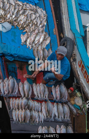 La pesca habor in Porto Flutante o Floating Porto, aprire barche da pesca con i proprietari vendono pesce fresco, Manaus, l'Amazzonia, Brasile, dell'America Latina Foto Stock