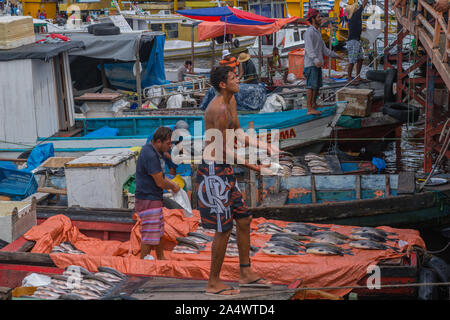 La pesca habor in Porto Flutante o Floating Porto, aprire barche da pesca con i proprietari vendono pesce fresco, Manaus, l'Amazzonia, Brasile, dell'America Latina Foto Stock