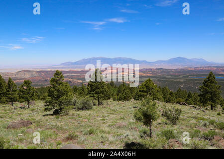 Scena stradale sulla Utah's Scenic Byway 12 Foto Stock