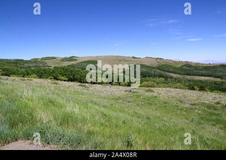 Scena stradale sulla Utah's Scenic Byway 12 Foto Stock