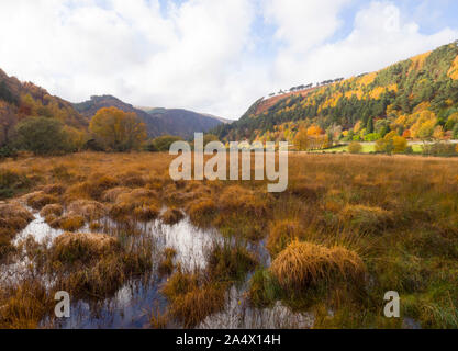 La valle di Glendalough in autunno, Glendalough, il Parco Nazionale di Wicklow Mountains, County Wicklow, Irlanda Foto Stock