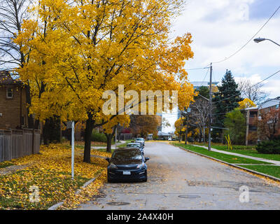 Piccolo quartiere strada in autunno. Maple tree con foglie di giallo a strapiombo di una strada con un'auto parcheggiata. Foto Stock