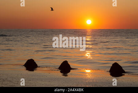 Seascape. Un delizioso alba con pietre. Foto Stock