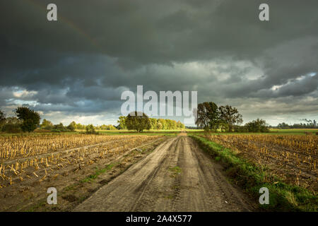 Strada di sabbia attraverso i campi e oscura pioggia nuvole Foto Stock