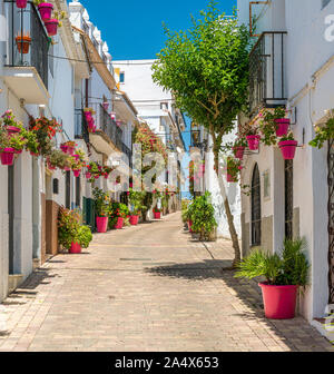 La bellissima Estepona, poco e floreale cittadina in provincia di Malaga, Spagna. Foto Stock