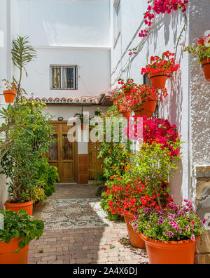 La bellissima Estepona, poco e floreale cittadina in provincia di Malaga, Spagna. Foto Stock