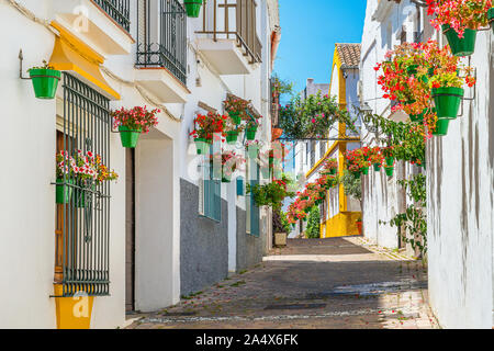 La bellissima Estepona, poco e floreale cittadina in provincia di Malaga, Spagna. Foto Stock