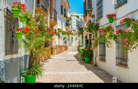 La bellissima Estepona, poco e floreale cittadina in provincia di Malaga, Spagna. Foto Stock