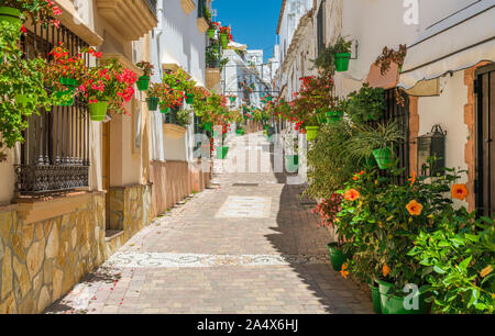 La bellissima Estepona, poco e floreale cittadina in provincia di Malaga, Spagna. Foto Stock