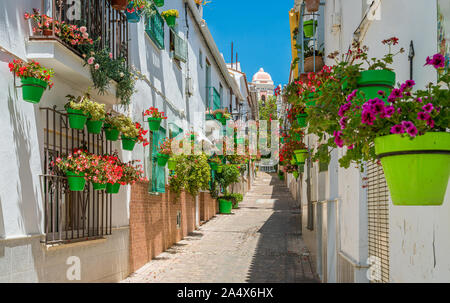 La bellissima Estepona, poco e floreale cittadina in provincia di Malaga, Spagna. Foto Stock