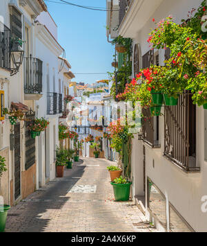 La bellissima Estepona, poco e floreale cittadina in provincia di Malaga, Spagna. Foto Stock