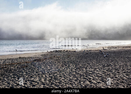 William Randolph Hearst Memorial State Beach. San Simeone, CA. Foto Stock