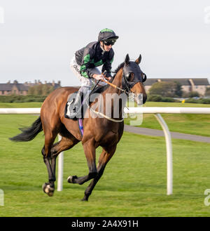 Jockey Daniel Tudhope su Ollivander prima di simili Racing TV su Facebook Handicap a Musselburgh - 14 ottobre 2019. Foto Stock