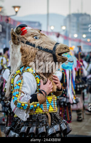 Mummers eseguire rituali per spaventare gli spiriti malvagi a Surva festival di Pernik in Bulgaria. Le persone sono chiamati Kukeri. Maschera di cavallo. Foto Stock