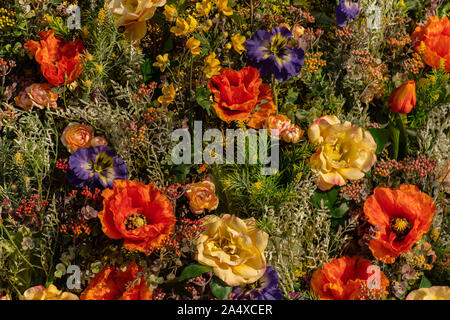 Bouquet di fiori diversi su uno sfondo verde shot close up Foto Stock