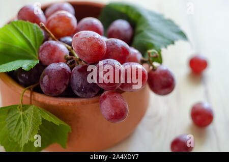 La vite e il grappolo di uva rossa in una ciotola. Bella uve rosse pronto per mangiare. Foto Stock