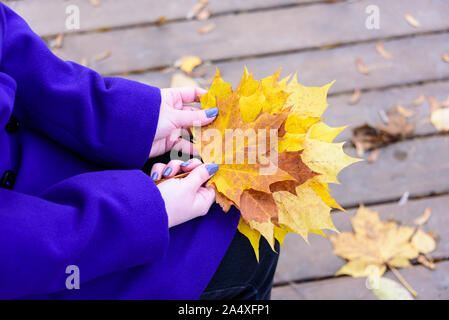 La ragazza tiene le mani giallo foglie di acero sulle sue ginocchia. Concetto di autunno. Foto Stock