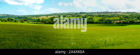 Scenic vista panoramica delle colline verdi campi di fattoria con pecora, mucca ed erba verde nel nuovo Grange, nella contea di Meath Foto Stock