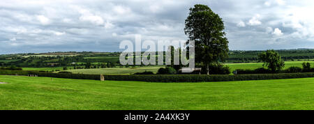 Vista panoramica delle colline verdi campi di fattoria con pecora, mucca in uno sfondo su erba verde nel nuovo Grange, nella contea di Meath Foto Stock