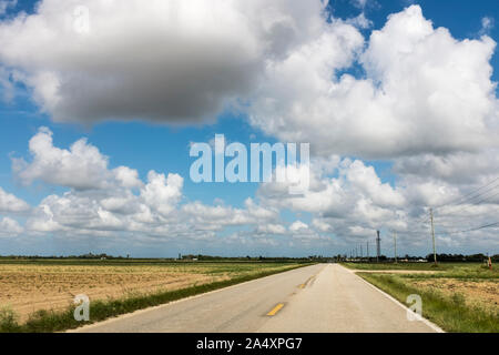 Grandi e soffici nuvole sopra un svuotate due corsie si stende fino all'orizzonte con campi vuoti su entrambi i lati in Everglades, Homestead, Florida Foto Stock