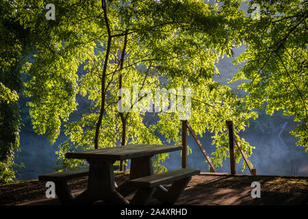 Un'area pic-nic a Grundy Parco dei Laghi di Tracy City, Tennessee del Sud Cumberland parco dello Stato sistema. Retroilluminati da il mattino presto sun. Foto Stock