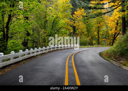 Una strada serpeggiante fiume Columbia Scenic Byway con il classico bianco recinzioni in Oregon, USA Foto Stock