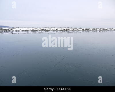 Viaggi in Giappone Foto Stock