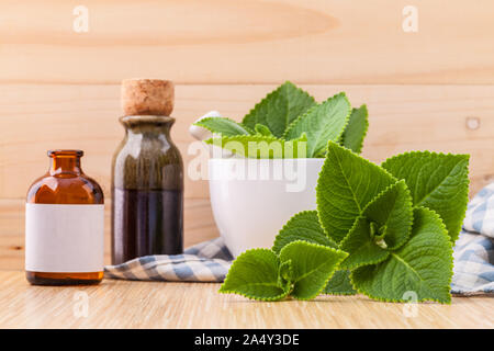 Paese borragine,Indian borragine,Coleus amboinicus Lour con calce bianca ed essenziali di olio estratto su sfondo di legno. Foto Stock