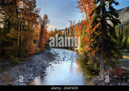 Incredibili colori autunnali lungo creek in mattina presto Foto Stock