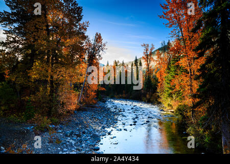 Incredibili colori autunnali lungo creek in mattina presto Foto Stock