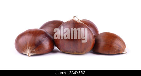 Le castagne fresche con pelato castagne arrosto isolati su sfondo bianco. Hippocastanum isolato Foto Stock
