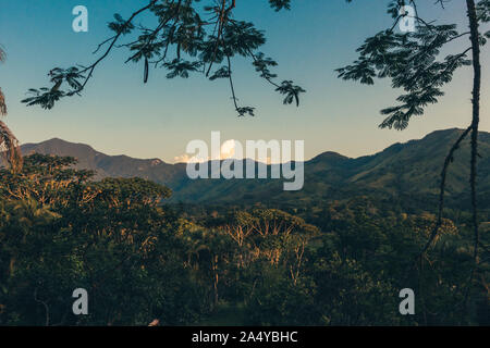 Tramonto in montagna con alberi Foto Stock