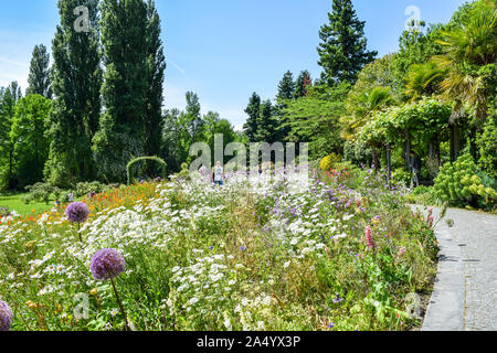 Parco con fiori soprattutto allio fiori isola di Mainau Foto Stock