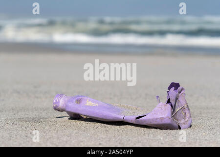 Rifiuti di plastica sulla West Coast Beach, West Coast National Park, Western Cape, Sud Africa Foto Stock