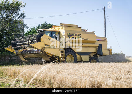 New Holland TX 65 mietitrebbia tenendo nel raccolto in una giornata di sole. Foto Stock