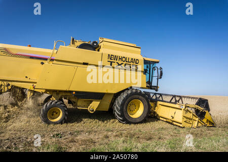 New Holland TX 65 mietitrebbia tenendo nel raccolto in una giornata di sole. Foto Stock
