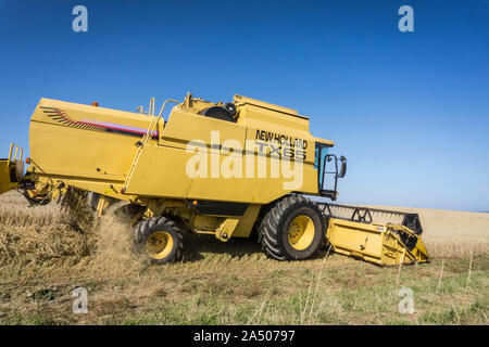 New Holland TX 65 mietitrebbia tenendo nel raccolto in una giornata di sole. Foto Stock