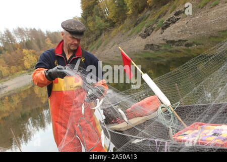 15 ottobre 2019, Sassonia-Anhalt, Hasselfelde: Fischer Gernot Quaschny tira nella sua rete sulla Rappbodetalsperre. In nome della Sassonia-Anhalt dam funzionamento, sarà lui a pescare i piccoli coregoni nelle prossime settimane e assicurare la decimazione di questo pesce. Il coregone è aumentata sensibilmente negli ultimi anni e che minaccia di ripercuotersi anche sulla qualità dell'acqua potabile. Al fine di mantenere la qualità dell'acqua, fino a tre tonnellate di questo pesce sono ora essere adottate al di fuori del serbatoio. Foto: Matthias Bein/dpa-Zentralbild/ZB Foto Stock