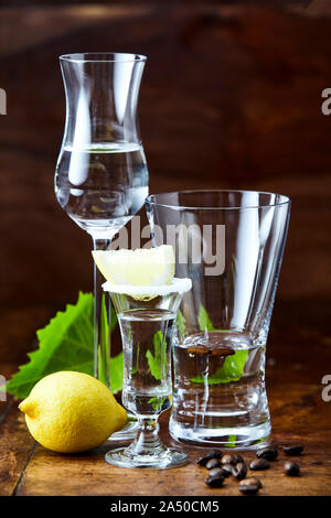 Varietà di bicchieri per bere grappa con alcool trasparente bevanda servita con il limone e i chicchi di caffè. Visto dal lato in close-up sul buio Foto Stock