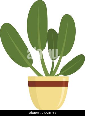 Foglie rotonde houseplant icona. Illustrazione piana di foglie rotonde houseplant icona vettoriali per il web design Illustrazione Vettoriale