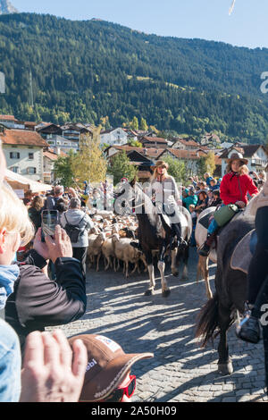 Savognin, GR / Svizzera - il 12 ottobre, 2019: le donne a cavallo guidare un gregge di pecore attraverso una folla Foto Stock