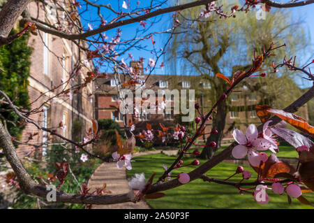 Emmanuel College gardens. Magnifica Cambridge University cortile con la spettacolare architettura Foto Stock