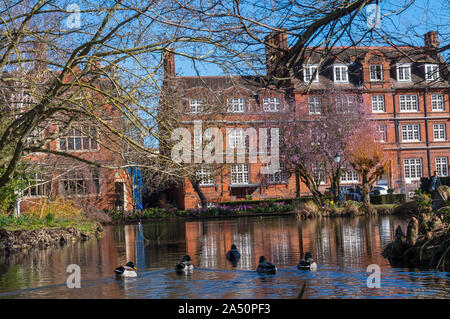 Emmanuel College gardens. Magnifica Cambridge University cortile con la spettacolare architettura Foto Stock