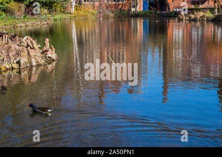 Emmanuel College gardens. Magnifica Cambridge University cortile con la spettacolare architettura Foto Stock