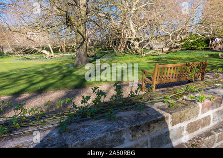 Emmanuel College gardens. Magnifica Cambridge University cortile con la spettacolare architettura Foto Stock