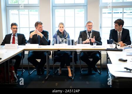 17 ottobre 2019, Bassa Sassonia, Hannover: Christian Strassburg (l-r), President-Elect della Deutsche Transplantationsgesellschaft (DTG), Bernhard Banas, DTG Presidente, Bettina Albers, addetto stampa, Axel Haverich, testa del MHH centro di trapianto e Gregor Warnecke, Senior medico della clinica di chirurgia HTTG ad Hannover Medical School (MHH) terranno una conferenza stampa. La conferenza stampa sullo stato della medicina dei trapianti in Germania in occasione della riunione annuale del tedesco Società di trapianto (17-19.10.2019) tratterà, tra le altre cose, con la soluzione prevista Foto Stock