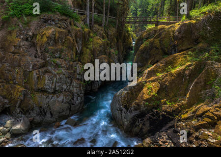 Il fiume Ohanapecosh e il sentiero delle cascate d'argento nel Parco Nazionale del Monte Rainier. Foto Stock