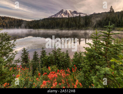Monte Rainier nel lago di Reflection con fiori selvatici. Foto Stock