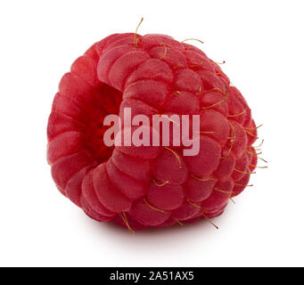 Lampone isolati su sfondo bianco. Alta risoluzione macro close up foto di fresca frutta lampone. Vista laterale. Massima profondità di campo immagine sovrapposta. Foto Stock